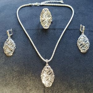 Intricate Silver Necklace and Earring Set